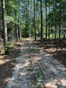 140 Ethel Ln, Deridder, LA, 70634