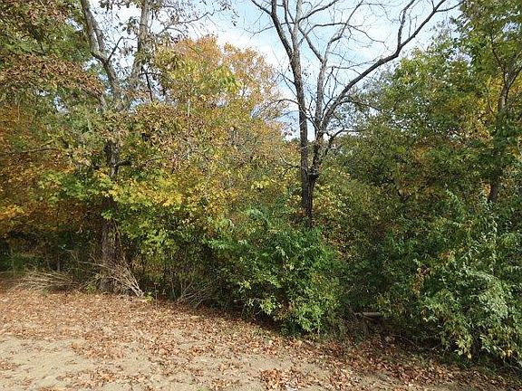 5th image of 16025 Grassy Creek Rd