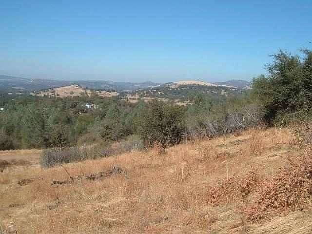2nd image of 23059 Big Oak Dr