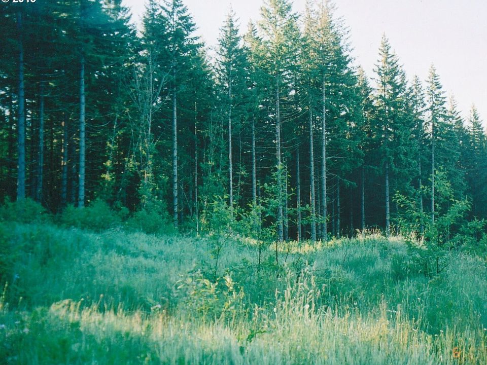 2nd image of 0 NE Coyote Cir