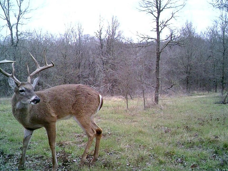 1st image of 141 SW County Road 2349