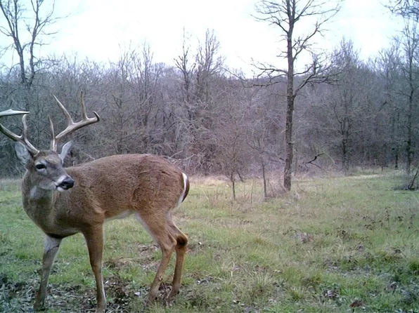 141 SW County Road 2349, Richland, TX 76681