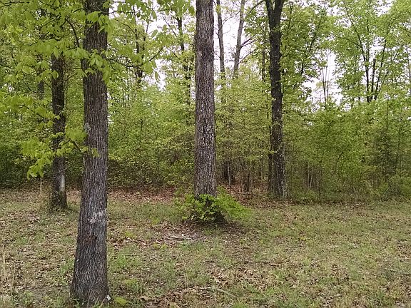 2nd image of 0 Pinewood Lake Dr