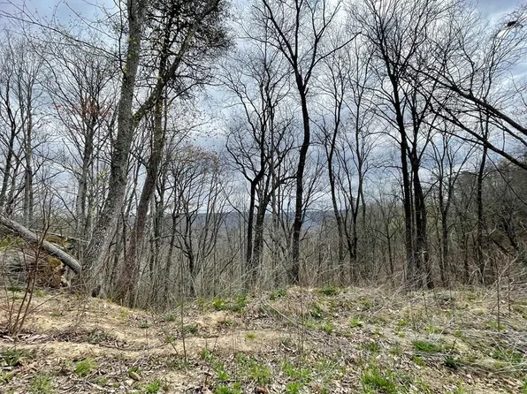 236 Buckeye Ln, Wilder, TN 38589