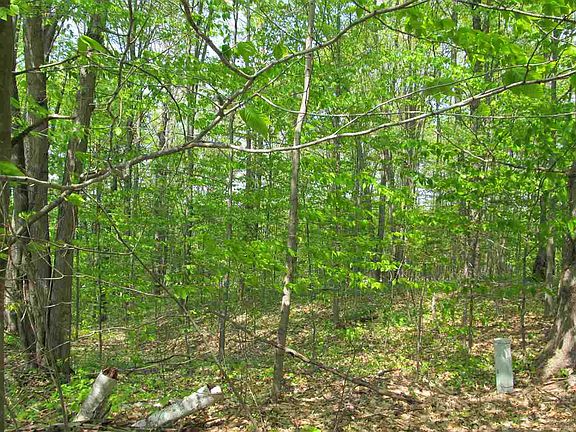 2nd image of 2263 Knollwood Dr