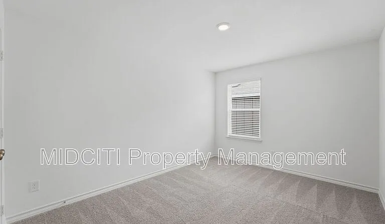 966 Bluegrass Point #NEW BRAUNFELS — Photo 32