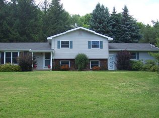 6427 Chamberlain Rd, Silver Springs, NY 14550