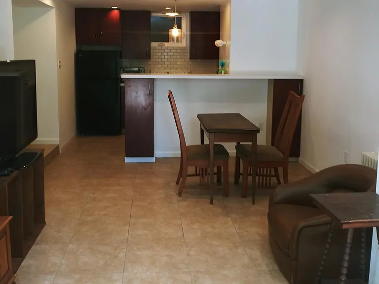 lower level living room/kitchen