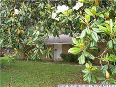 305 S Carrollton Ave, Baton Rouge, LA, 70806