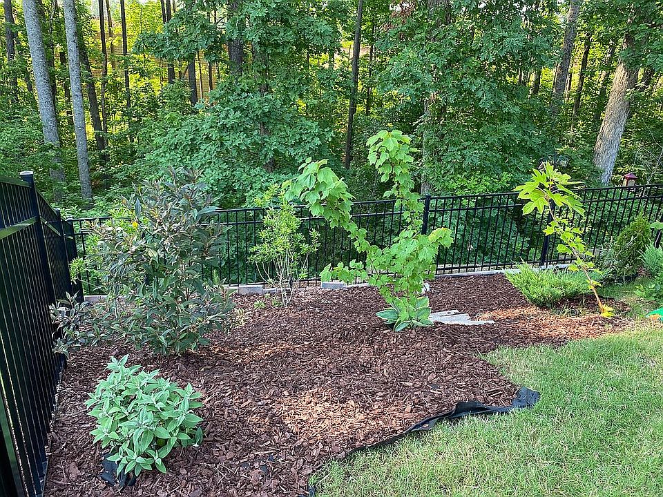 Backyard is low maintenance 