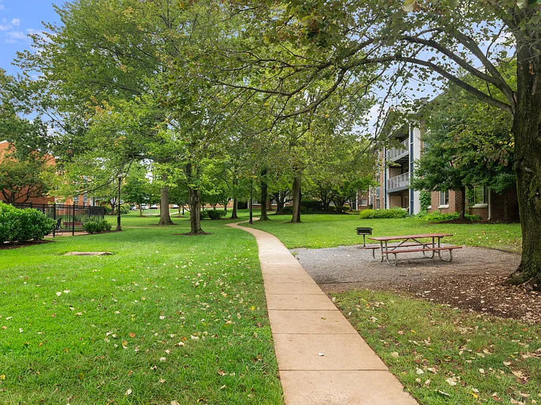 BBQ & Picnic Areas