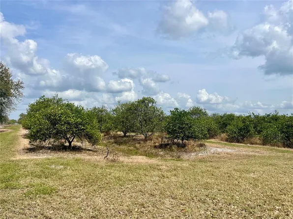 Fish Branch Rd Lot 0, Zolfo Springs, FL 33890