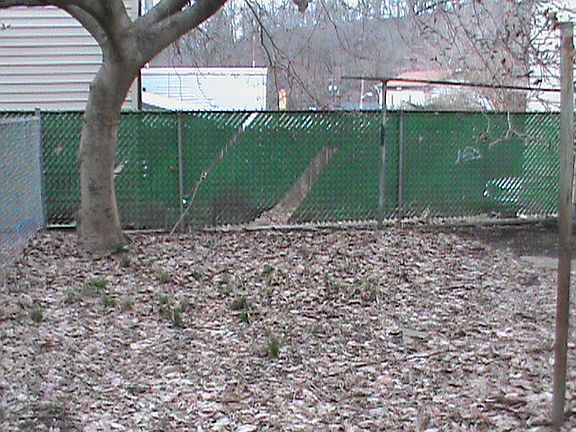 Fenced in backyard