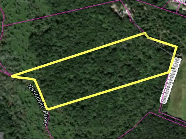 11427 Silent Hill Dr, Bridgeville, DE 19933