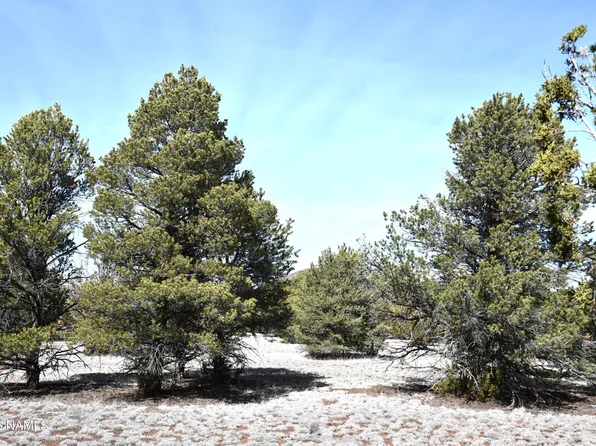 7590 Daisy Dr, Williams, AZ 86046