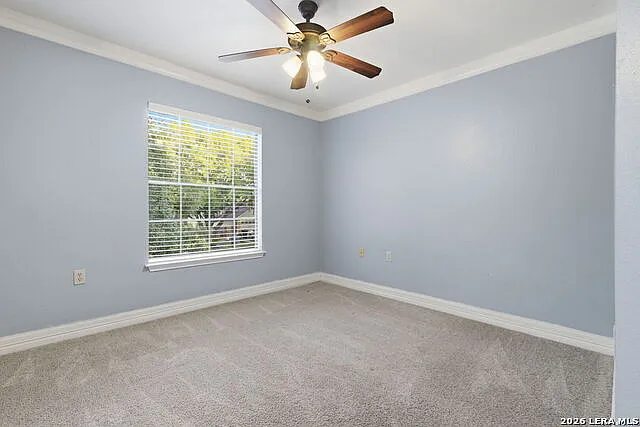 6915 Raintree Frst — Photo 25