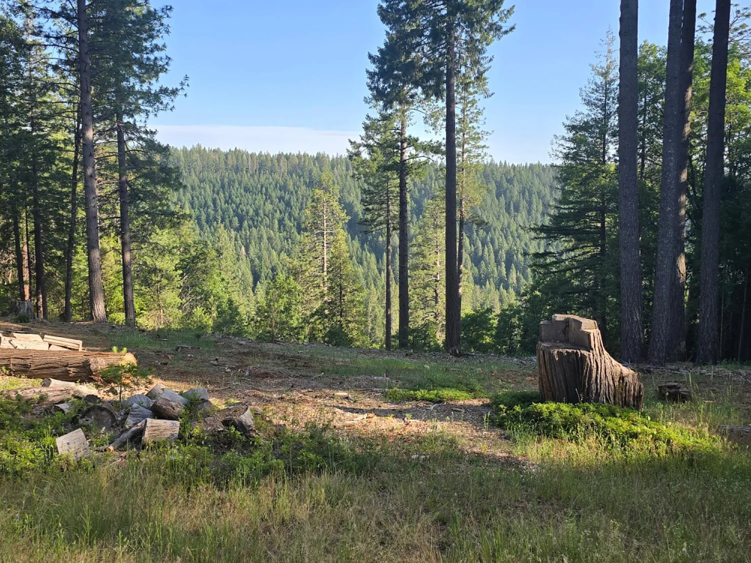 13907 Lightning Tree Rd photo 1