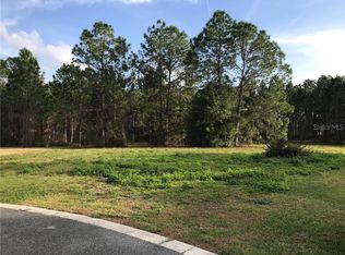 504 Yellow Submarine Ct, Howey In The Hills, FL 34737