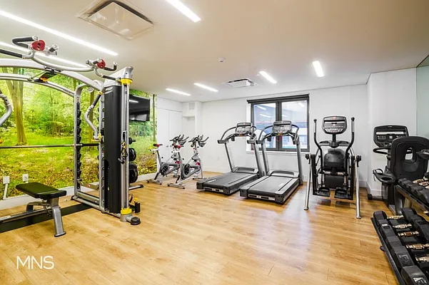 Rented by MNS Marketing | media 32