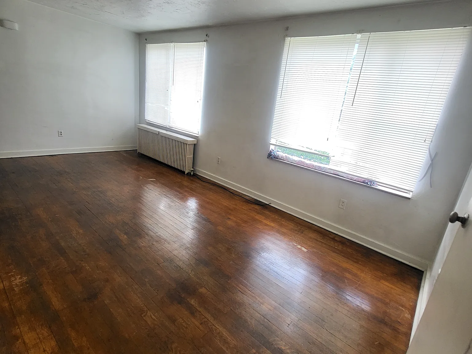 1 bed, $650 — Photo 2