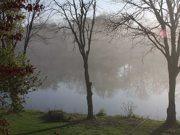 3rd image of 6821 Lakeshore Dr