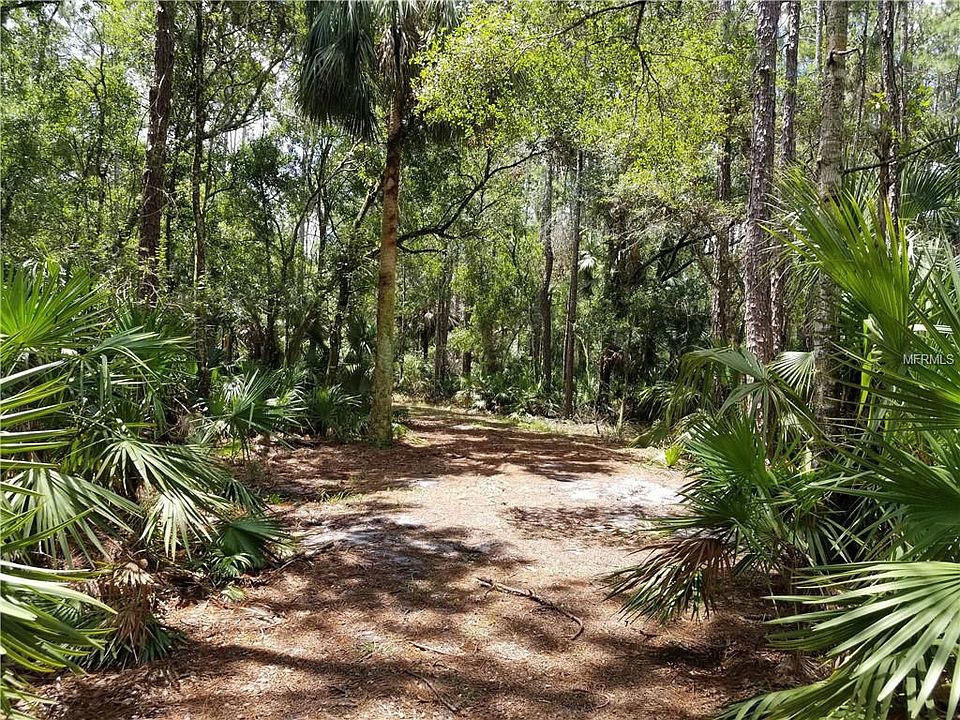 1289 Tall Pines Dr Osteen FL Zillow