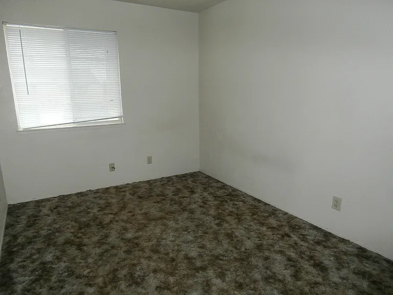 239 Sunnyhills Dr — Photo 13