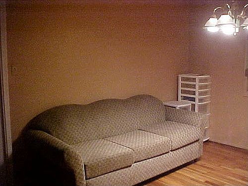 Dining Room or Den