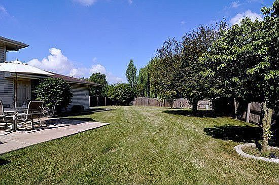 Expansive Backyard