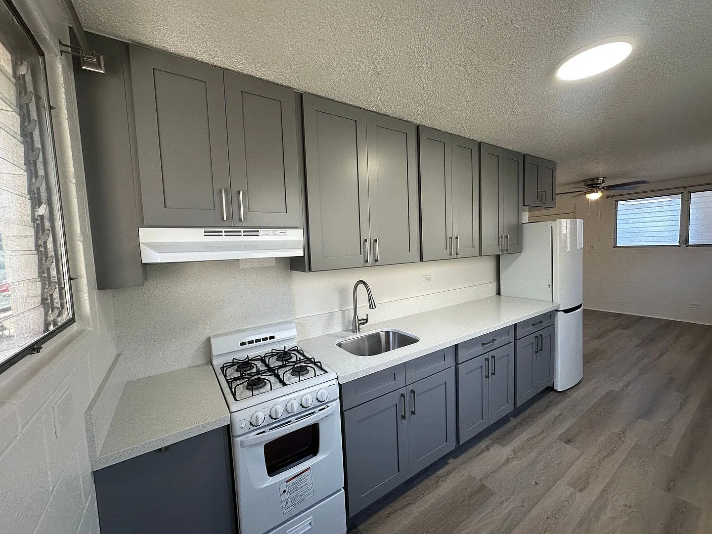 1455 Lusitana — Photo 4