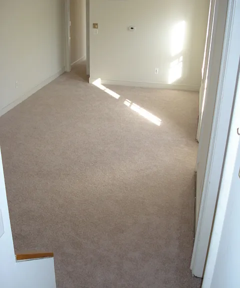 2101-2-new-pics-003