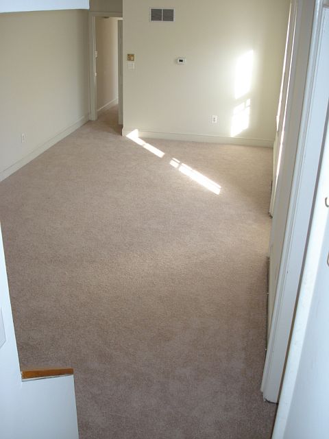 2101-2-new-pics-003