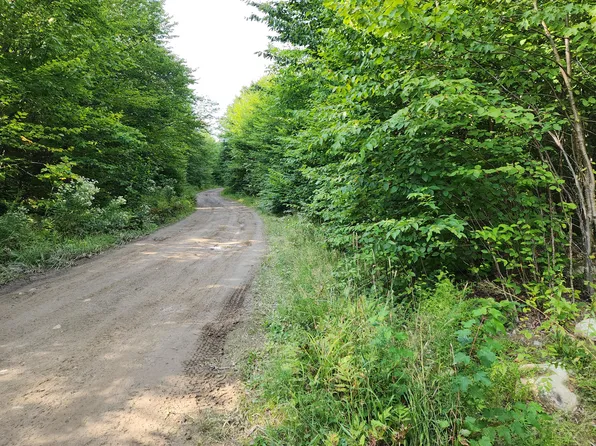 Lot D Fire Road, Linneus, ME 04730