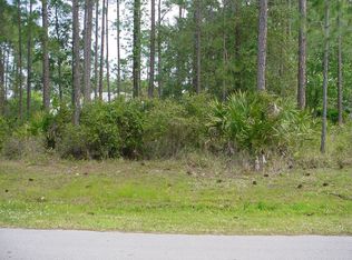 44 Boston Ln, Palm Coast, FL 32137
