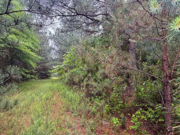 0 Newkirk Cir, Jessieville, AR 71949