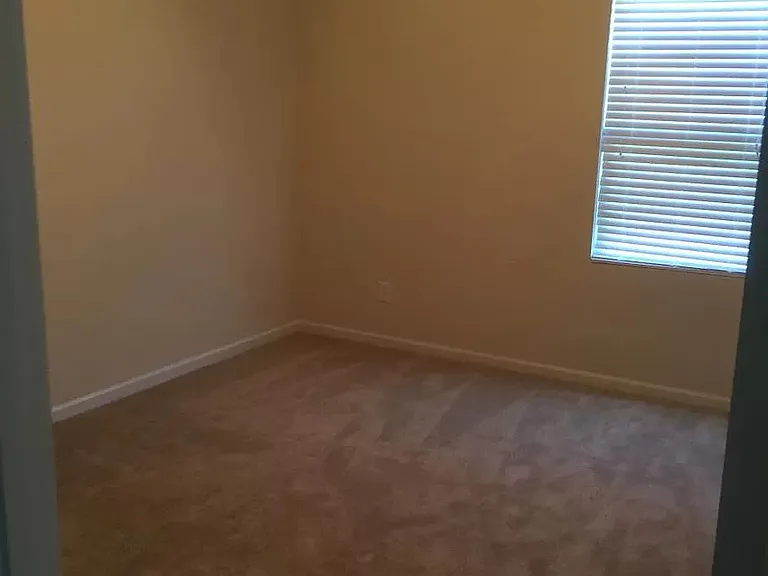 1009 Blue Stream Ln — Photo 28