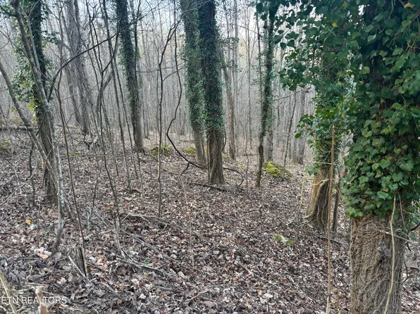 Kay Dr, La Follette, TN 37766