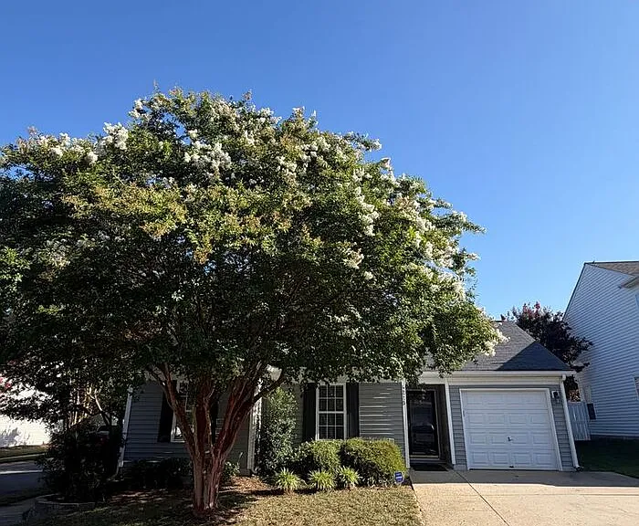 4225 Hogan Ln — Photo 2