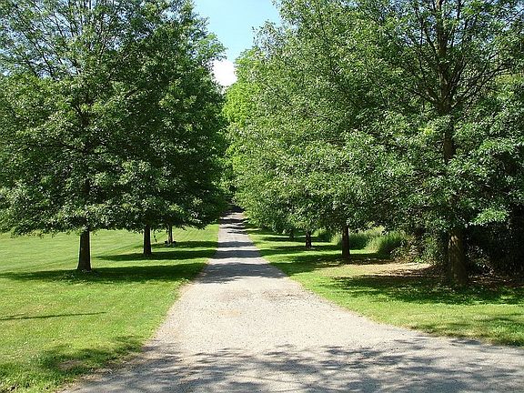 Long treelined drive