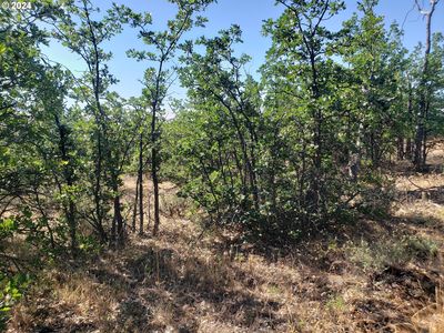 Bickleton Hwy, Bickleton, WA, 99322