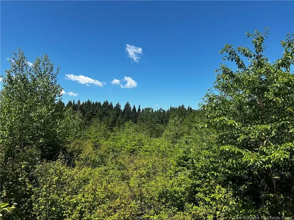 Old Gardner Creek Rd, Simonds, NB E2S 0E9