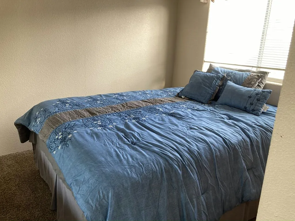 1 bed, 1.0 bath, 385 sqft, $1,200 — Photo 4