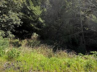 31 Wolverine Way, Whitethorn, CA 95589