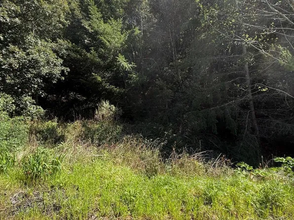 31 Wolverine Way, Whitethorn, CA 95589