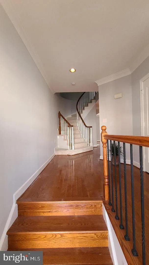 3 bed, 4.0 bath, 2507 sqft, $4,250 — Photo 2