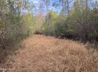 Blue Lake Rd, Perkinston, MS 39573