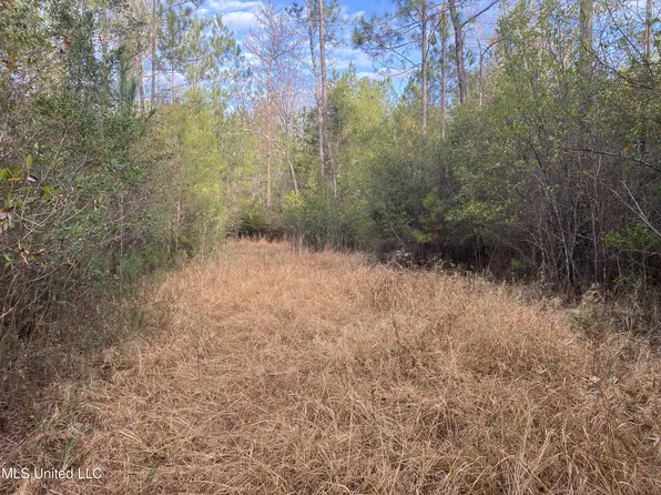 Blue Lake Rd, Perkinston, MS 39573