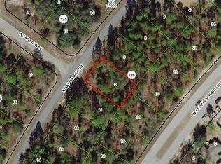 9217 N Saponaria Dr, Citrus Springs, FL 34433