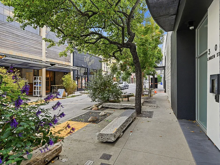 300 Linden St #3 — Photo 29