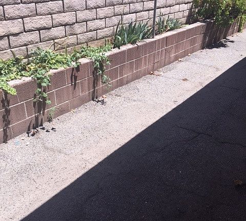2nd image of 306 E Meda Ave APT B